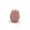 clitoral suction vibrator Malaysia