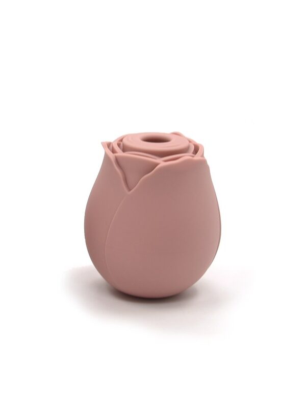 clitoral suction vibrator Malaysia
